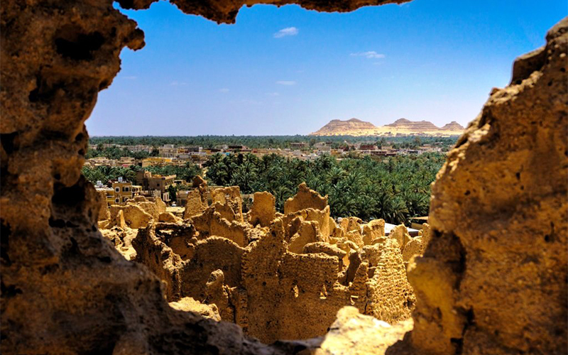 Tour of the White Desert and Bahariya Oasis