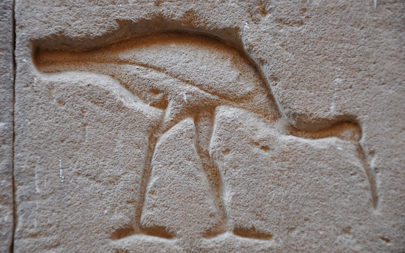 7 Night Nile River Cruise Itinerary from Aswan